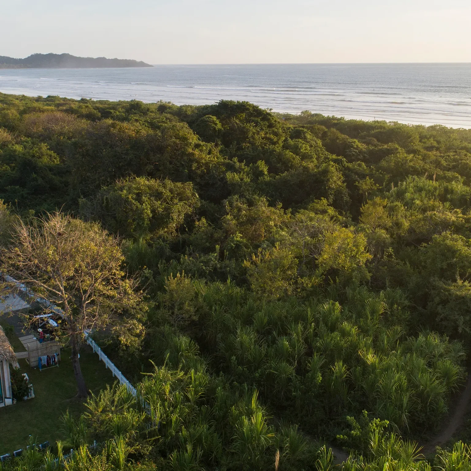 Nosara-Gilded_Dec_BAJA_013