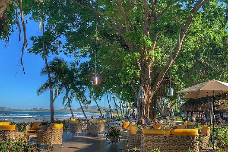 Three-Hour Lunch Tour in Tamarindo, Guanacaste