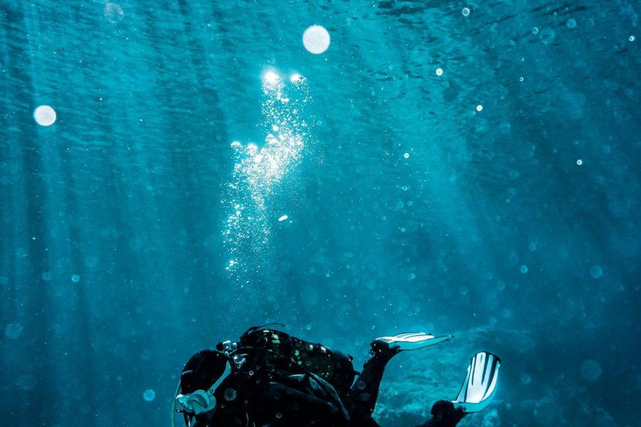 Scuba Diving Basic Course