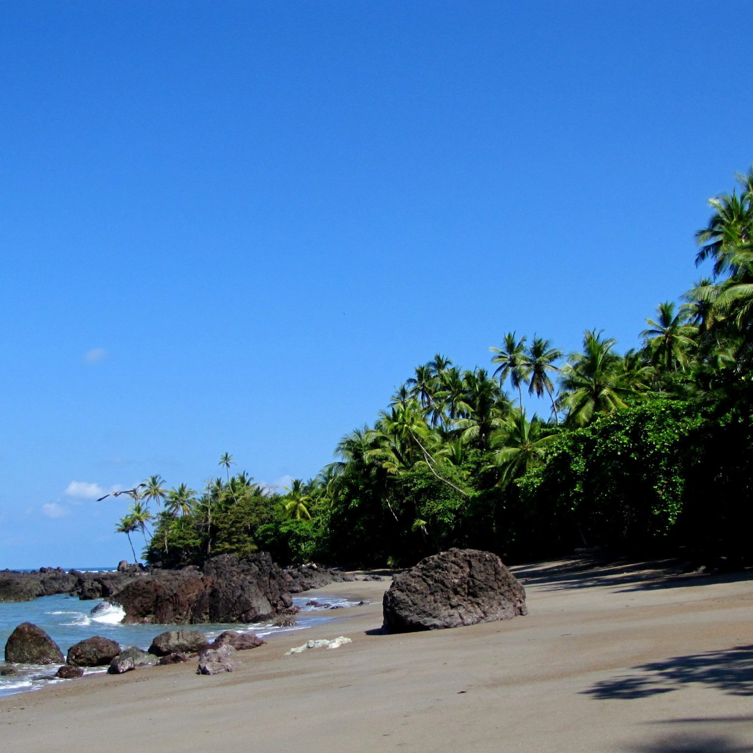 Parque_Nacional_Corcovado