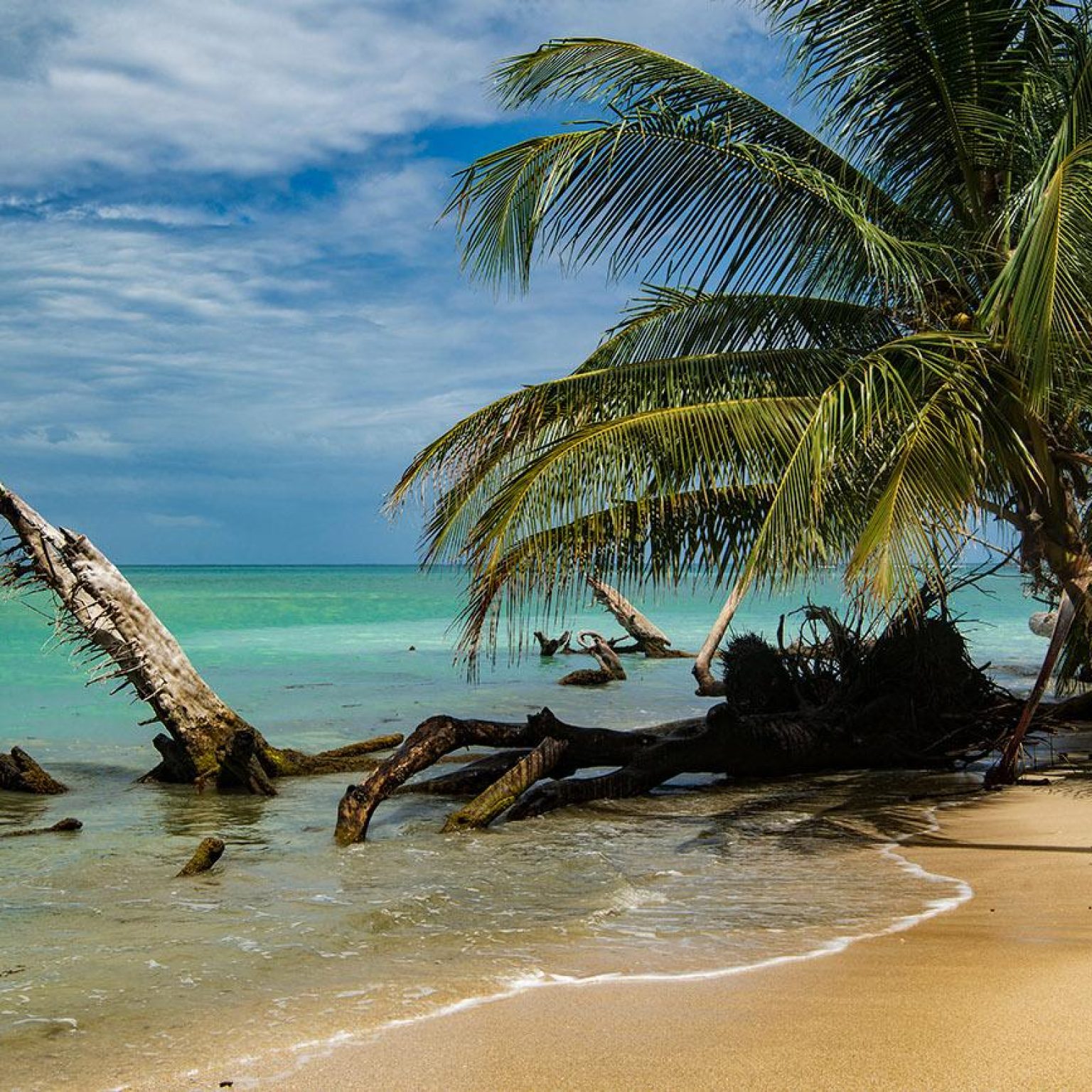cahuita-costa-rica-caribe-punta-cahuita-coqueiros