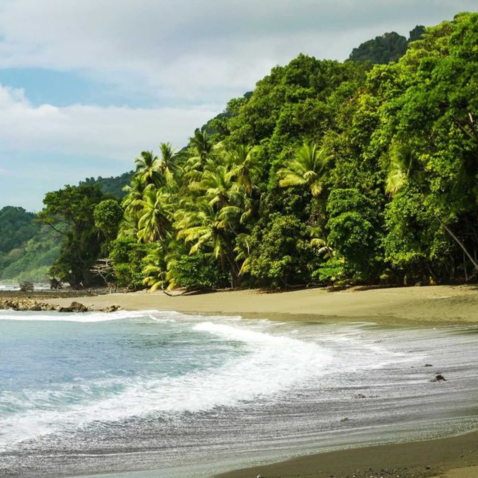 large_corcovado-costa-rica-shutterstock_257689762_dae3c95f54