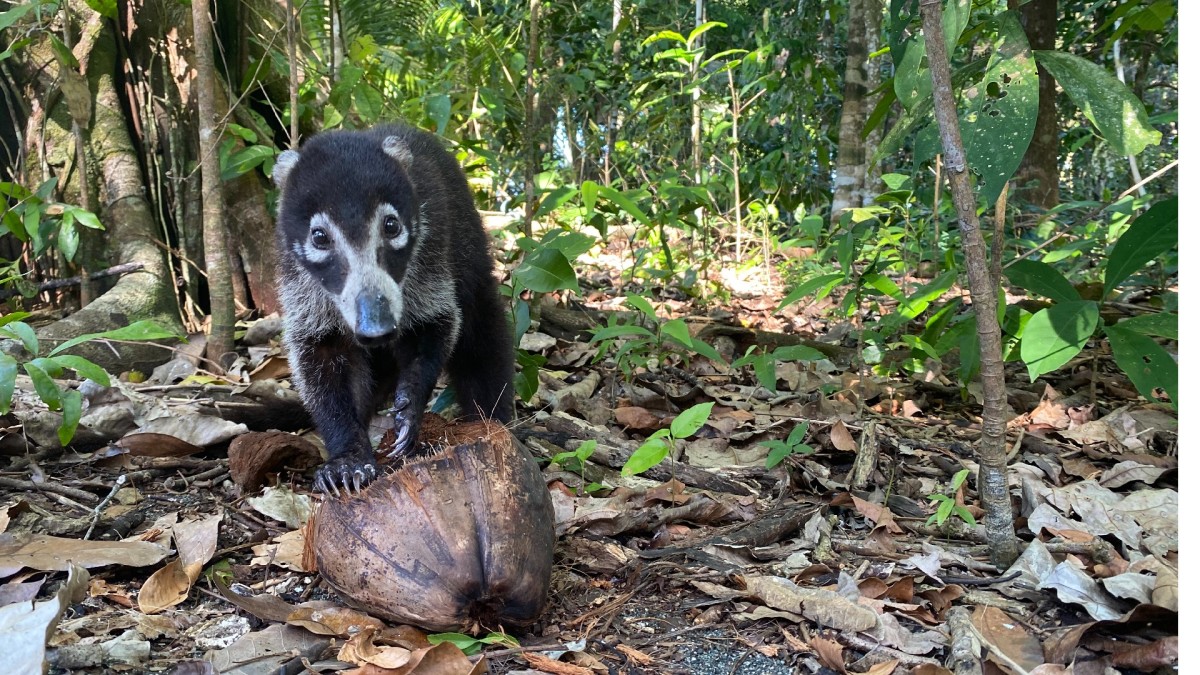 How to Explain to a 5-Year-Old That They’re Traveling to Costa Rica