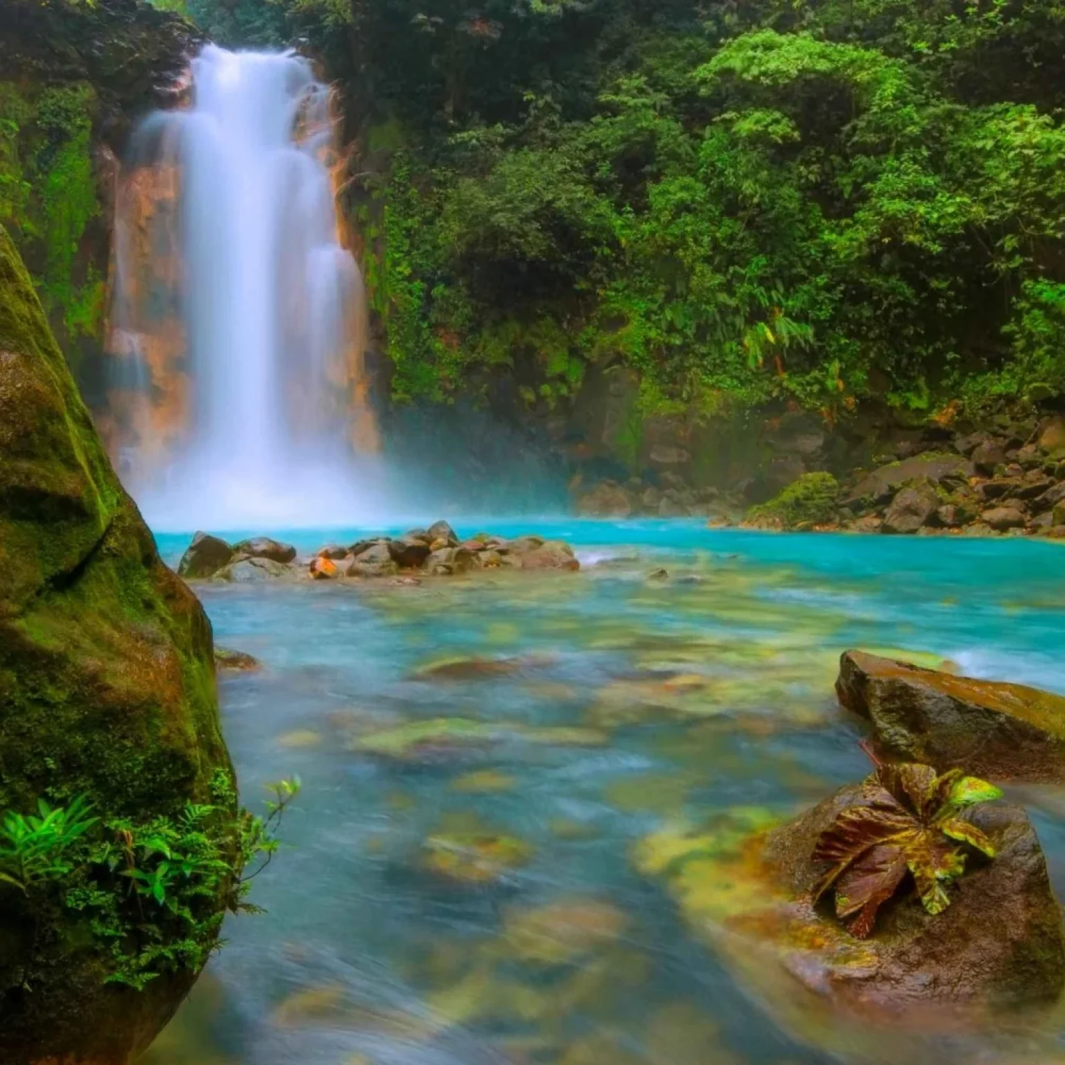 from-la-fortuna-rio-celeste-full-day-tour-2450988