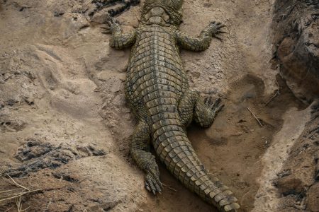 Discover Guanacaste’s Hidden Gems on the 1-Day Inland Deluxe Tour